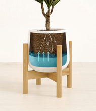 Load image into Gallery viewer, White stand:bamboo