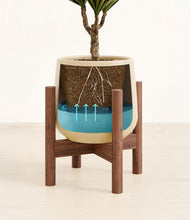 Load image into Gallery viewer, Almond Green stand:walnut