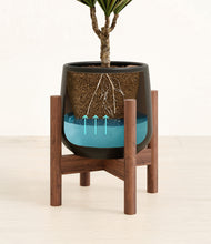 Load image into Gallery viewer, Black stand:walnut