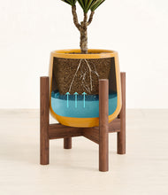 Load image into Gallery viewer, Mustard stand:walnut