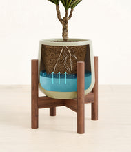 Load image into Gallery viewer, Turquoise stand:walnut