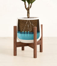 Load image into Gallery viewer, White stand:walnut