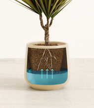 Load image into Gallery viewer, Almond Green