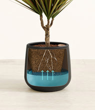 Load image into Gallery viewer, Black