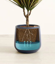 Load image into Gallery viewer, Deep Navy