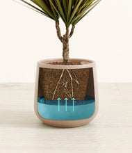 Load image into Gallery viewer, Eternal Gray