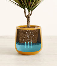 Load image into Gallery viewer, Mustard