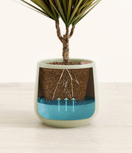 Load image into Gallery viewer, Turquoise