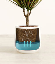 Load image into Gallery viewer, White