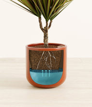 Load image into Gallery viewer, Glossy Red