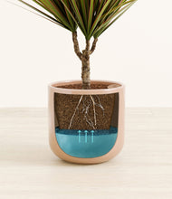 Load image into Gallery viewer, Glossy Pink