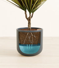 Load image into Gallery viewer, Iron Gray