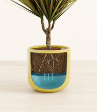 Load image into Gallery viewer, Key Lime Yellow