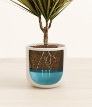 Load image into Gallery viewer, Cotton White