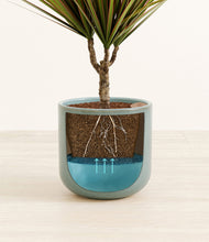 Load image into Gallery viewer, Reactive Aqua