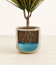 Load image into Gallery viewer, Sage Green