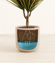 Load image into Gallery viewer, Sandy Pink