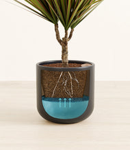 Load image into Gallery viewer, Stone Black