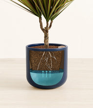 Load image into Gallery viewer, Twilight Blue