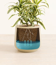 Load image into Gallery viewer, Almond Green