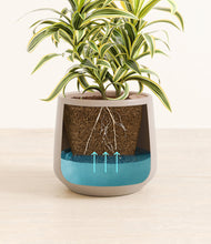 Load image into Gallery viewer, Eternal Gray