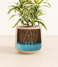 Load image into Gallery viewer, Gentle Pink