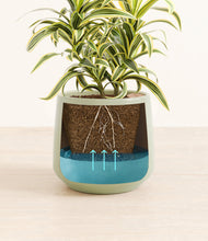 Load image into Gallery viewer, Turquoise