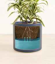 Load image into Gallery viewer, Deep Navy