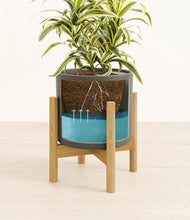 Load image into Gallery viewer, Dark Olive stand:bamboo