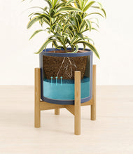Load image into Gallery viewer, Deep Navy stand:bamboo