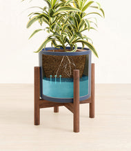 Load image into Gallery viewer, Deep Navy stand:walnut