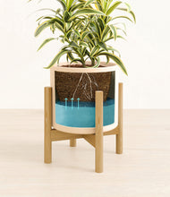 Load image into Gallery viewer, Cream stand:bamboo