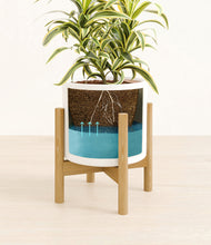Load image into Gallery viewer, White stand:bamboo