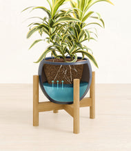 Load image into Gallery viewer, Deep Navy stand:bamboo