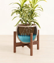 Load image into Gallery viewer, Desert Brown stand:walnut