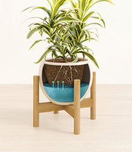 Load image into Gallery viewer, Shiny EggWhite stand:bamboo