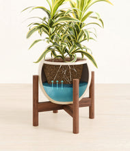 Load image into Gallery viewer, Shiny EggWhite stand:walnut