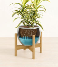 Load image into Gallery viewer, Deep Ocean stand:bamboo