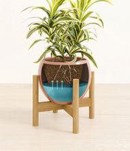 Load image into Gallery viewer, Calm Rose stand:bamboo