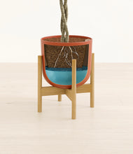 Load image into Gallery viewer, Earth Red stand:bamboo