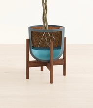 Load image into Gallery viewer, Iron Gray stand:walnut