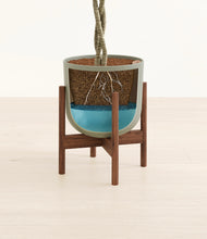 Load image into Gallery viewer, Sage Green stand:walnut