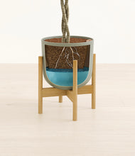 Load image into Gallery viewer, Sage Green stand:bamboo