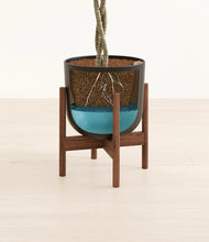 Load image into Gallery viewer, Stone Black stand:walnut