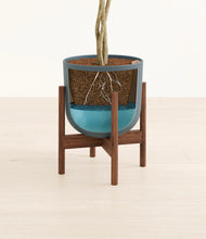 Load image into Gallery viewer, Iron Gray stand:walnut