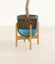 Load image into Gallery viewer, Iron Gray stand:bamboo