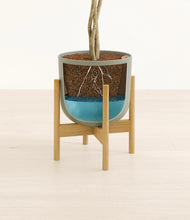 Load image into Gallery viewer, Sage Green stand:bamboo