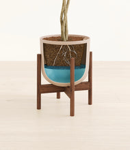 Load image into Gallery viewer, Sandy Pink stand:walnut