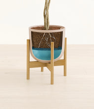 Load image into Gallery viewer, Sandy Pink stand:bamboo