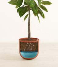 Load image into Gallery viewer, Earth Red